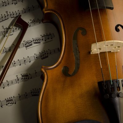 Armadillo String Quartet Vancouver