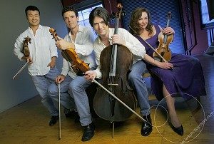 Armadillo String Quartet V