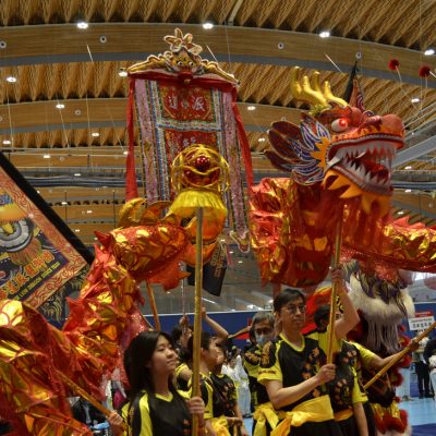 Vancouver Chinese Lion and Dragon Dance Team