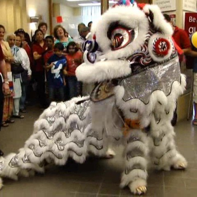 Vancouver Chinese Lion and Dragon Dance Team