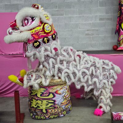 Vancouver Chinese Lion and Dragon Dance Team