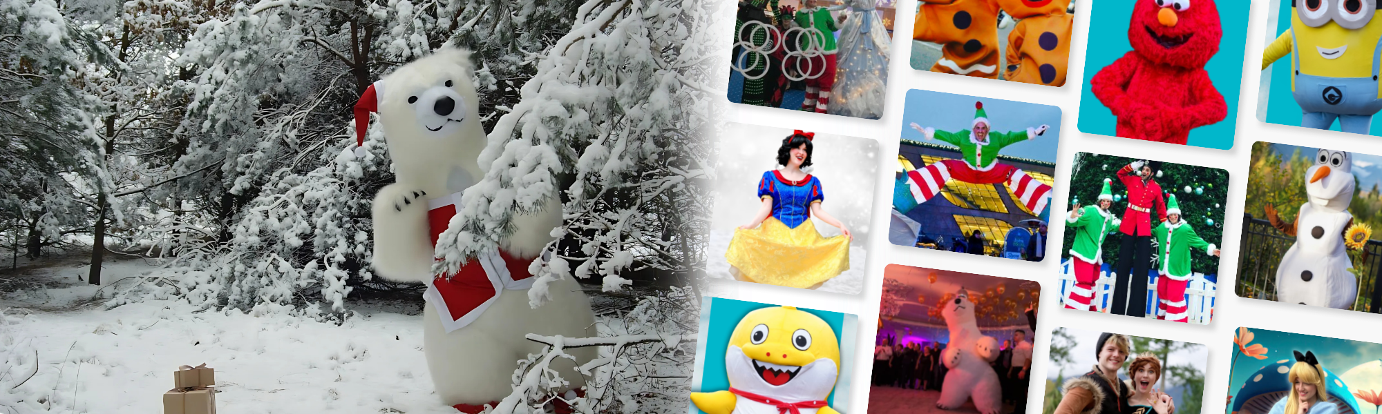 Book Mascot in Vancouver