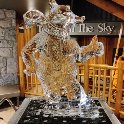 Vancouver Live Ice Sculpture Carving