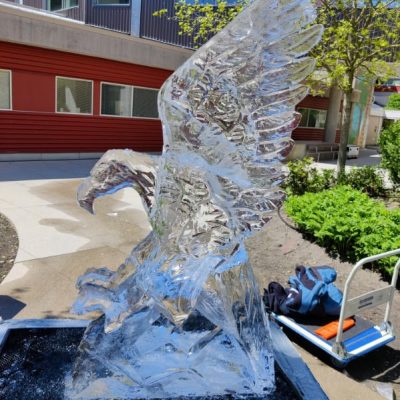 Vancouver Live Ice Sculpture Carving